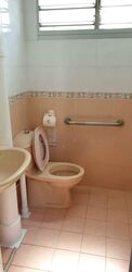 Blk 320 Clementi Meadows (Clementi), HDB 3 Rooms #532253871